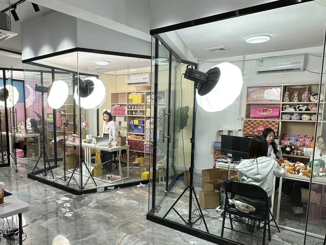 全国两会）张颐武：直播电商迈入“质量提升”阶段深赋能与严监管并行(图1)