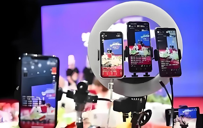 121页2025直播电商行业发展白皮书(图1)