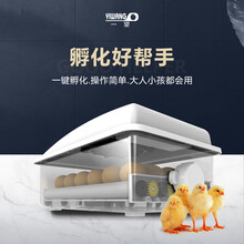 利好爆发！2026Shopee全托管激励升级入驻疑问全解答轻松出海(图1)