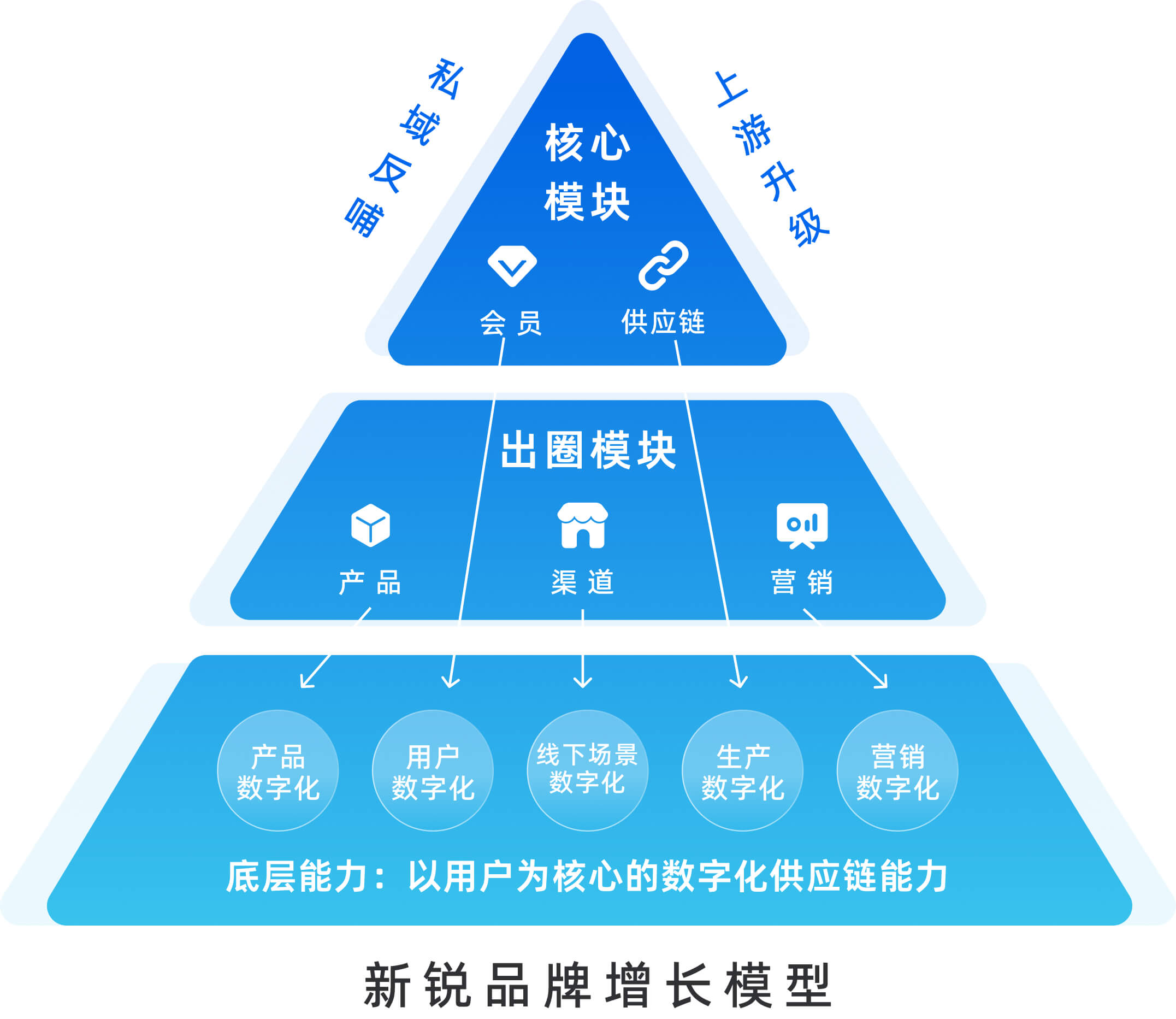 青木科技首季归母净利增3205%毛利率5465%发力品牌孵化业务(图1)