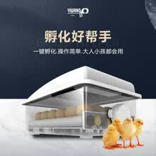 上海“金晖相伴”为老服务破解银发帮扶“一阵风”难题青春护银龄(图1)