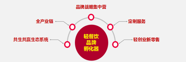 商业IP孵化哪个公司好(图1)
