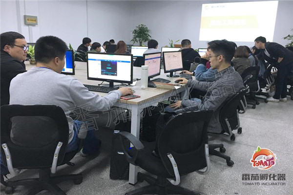 品牌孵化运营方案(图1)
